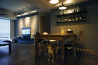 现代室内设计两居室效果图大全
