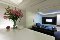 现代别墅家居效果图片