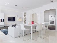 Polinova Paul 白色简约公寓设计