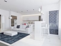 Polinova Paul 白色简约公寓设计