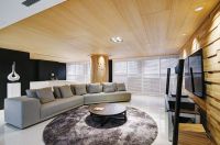 欧式装修高大别墅欣赏