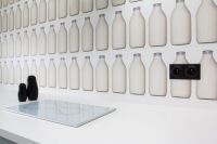 黑白奏鸣曲 波兰46平米小公寓设计