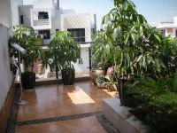 山水文园东南亚风格案例