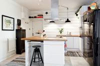 北欧时尚两居效果图