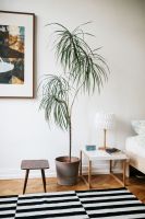 简约现代风一居室装修效果图