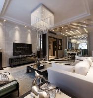 现代简约—润泽公馆—二居室