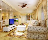 望京西里小区-欧美风情-二居室