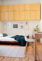 温润清新一居室设计