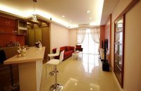 简约时尚两居室大全