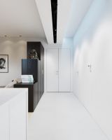 黑白极简风格公寓设计