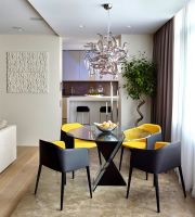 莫斯科现代风格一居室装修设计