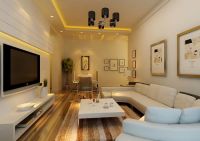 瑞雪春堂-现代简约-两居室