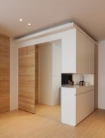 实用简约一居室设计