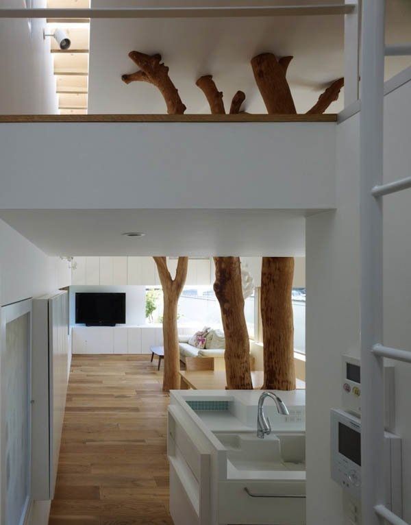极简主义树木室内设计