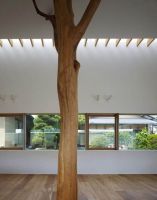 极简主义树木复式设计