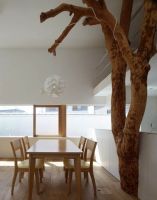 极简主义树木复式设计