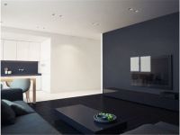 极致黑白现代公寓