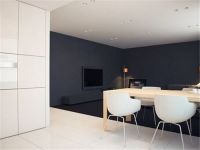 极致黑白现代公寓