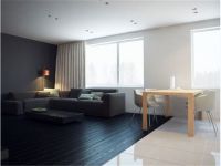 极致黑白现代公寓