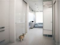 宁静柔和的白色公寓