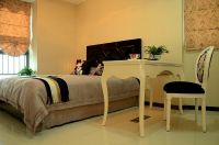 时尚精致简欧风格二居室