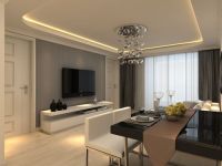 国惠村C户型现代风格