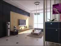 新龙城-典雅大方-三居室