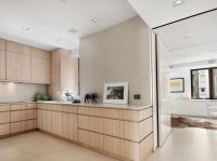 简约纯净空间餐厅设计