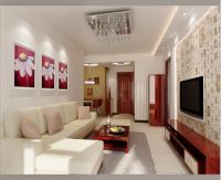 珠江逸景家园-现代简约-二居室