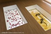 30平方米小户型家装效果图