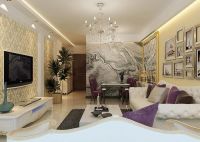 领秀新硅谷-现代简约-二居室