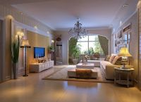 10万IT精英欧式典雅雅居