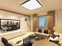 大通成附公管—现代简约—一居室