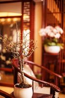 宋先生的新家