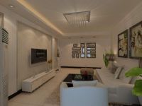 华龙美树—现代简约 —两居室