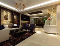 孔雀城-现代简约-6居室