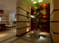 低调奢华的简约别墅