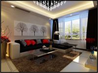 金成府-现代简约-二居室