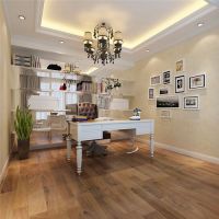 远洋天著欧式300平全包