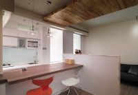 家装风现代二居设计