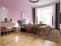 两室两厅 现代简约风格