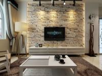 简单，大方，时尚，复试小公寓