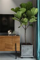 北欧风，它也可以做到很浓郁又复古的色彩