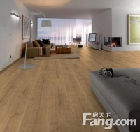 飞美地板旗下2015德国爱格真实感设计风格赏析