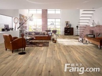 飞美地板旗下2015德国爱格真实感设计风格赏析