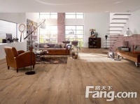 飞美地板旗下2015德国爱格真实感设计风格赏析