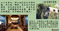 与树结缘 花开满天——L&D金桦木瓷砖评测