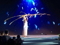 迎着风，看潍坊简一搏击长空