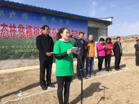 曲美家居绿色公益的春暖花开时