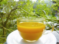 【生活美学】林振中：姜黄的启发